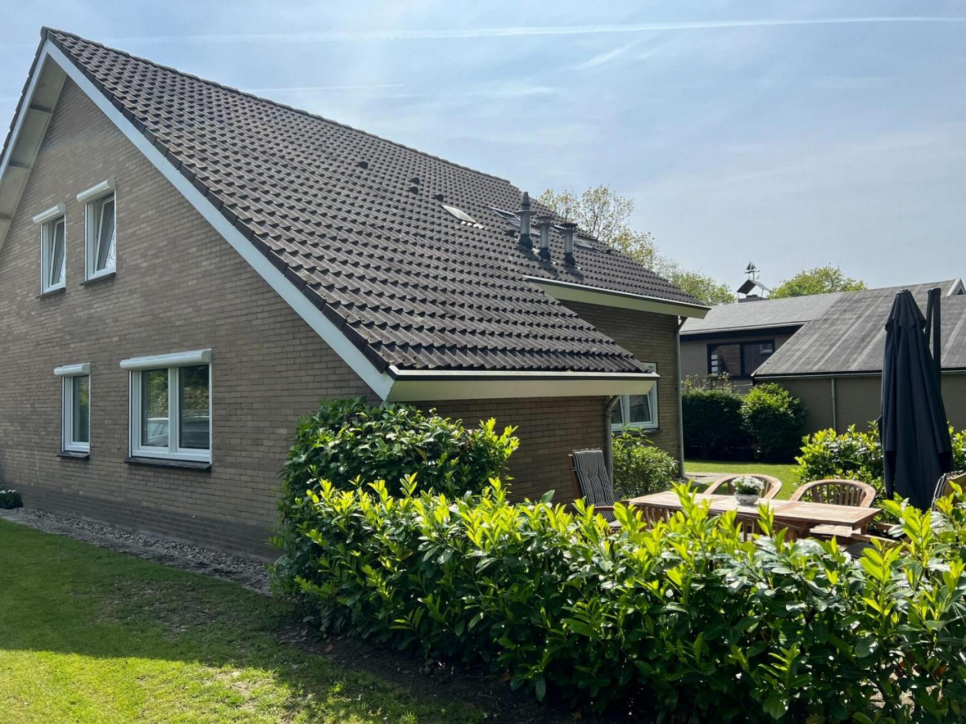 Garten hinten