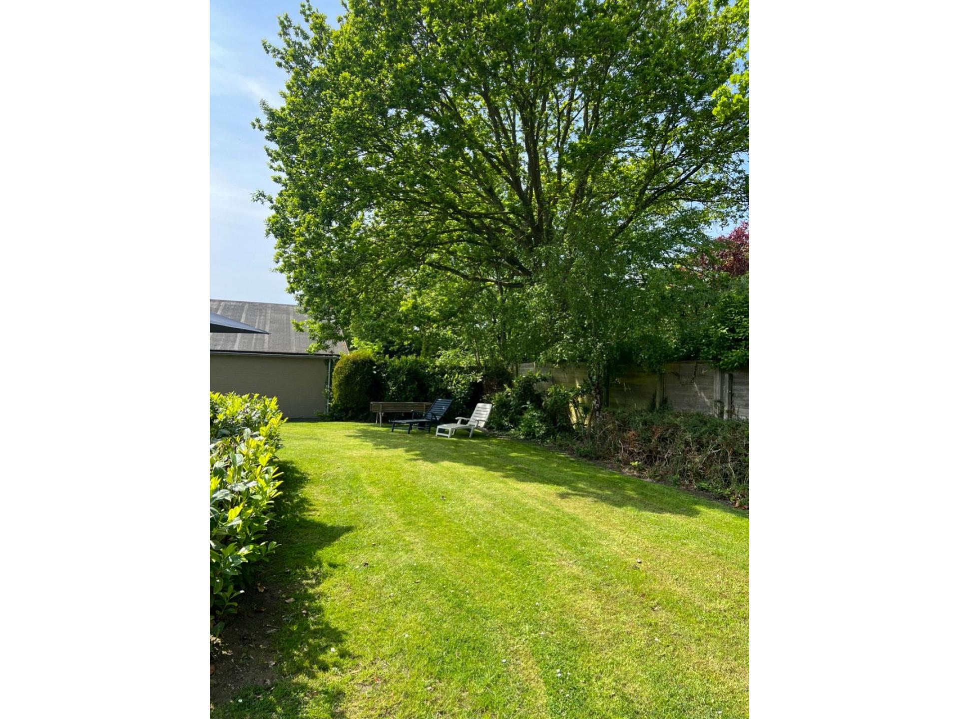 Garten hinten